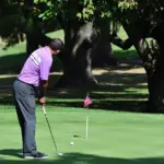 Hvordan tager jeg badevinger på?